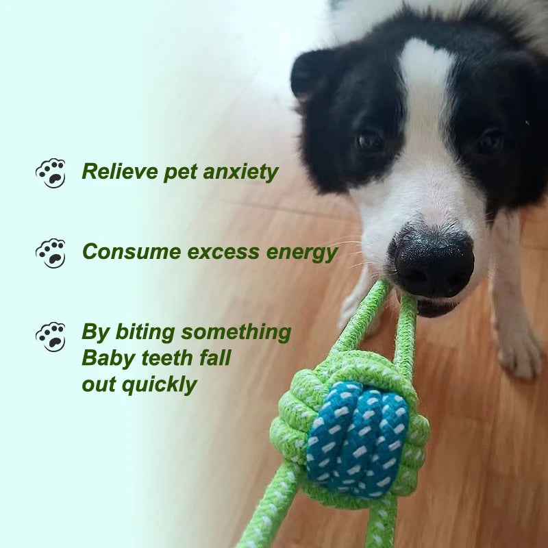 Interactive Cotton Rope Dog Toy – Natural, Washable & Dental‑Friendly